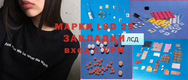 таблы Бородино
