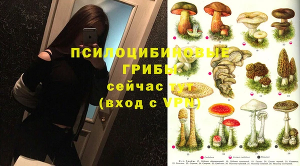 крисы Бугульма