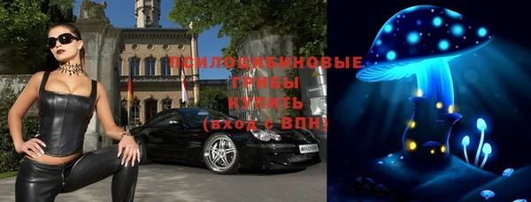 таблы Бородино