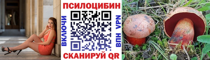 Псилоцибиновые грибы Psilocybe  Отрадное 