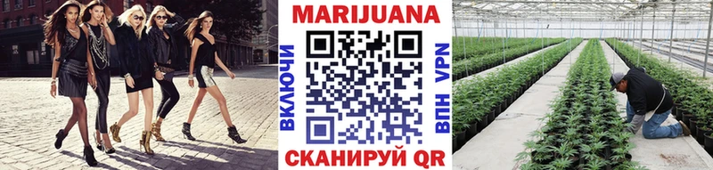 площадка какой сайт  mega tor  Шишки марихуана конопля  Отрадное  закладка 